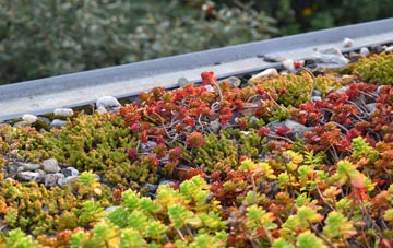 the cost of Edgworth green roof installation