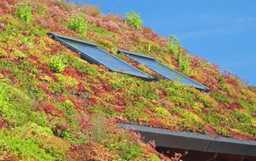 Edgworth living roof systems